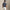 RLX Tailored Fit Micro Toss Floral Polo Refined Navy