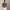 RLX Tailored Fit Micro Toss Floral Polo Refined Navy