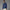 Convertible Hooded Jacket Night Indigo