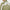 Jarvis Full Zip Mid Layer Oil Green