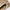 Kooka Twill All Day Trouser Tan