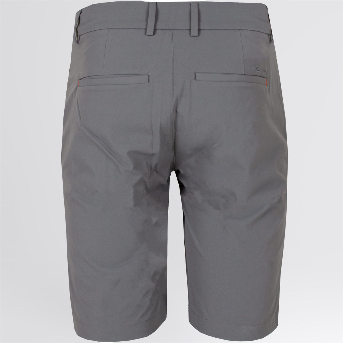 Iver 10-inch Tailored Fit Shorts Steel Grey