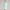 YOU-V Solid Quarter Zip Mint Jelly