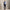 Polo Golf Tailored Fit Stretch Pique Polo Office Blue