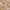 RLX Cashmere Hoodie Player Camo Khaki
