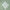 Eighteen T-Shirt Green