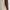 Pavel Cotton Polo Light Beige