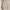 The Wide Leg 28-Inch Trousers Ivory Marl