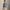 RLX Tailored Fit Savanna Floral Polo Refined Navy Multi