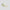 S2G Vent Spikeless Golf Shoes Off White/Frozen Lemon/Alumina
