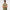 Liam Tour Merino Knitted Vest Oil Green