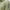 Tour Tech Slim Fit TX Jersey Polo Oil Green Melange