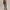 Freesoft High Rise 25 Inch Leggings Prairie Sand Cheetah