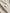 Pine Sugar Stripe Performance Hoodie Biscuit