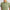 Direction Polo Sage Green