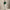 RLX Tailored Fit Stretch Cotton Polo Kelly Green/Ceramic White