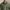 RLX Hooded Windbreaker Training Jacket Fossil Green