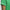 Twistknit Trefoil Polo Green