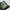 S2G Vent Spikeless Golf Shoes Off White/Frozen Lemon/Alumina