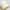 S2G Vent Spikeless Golf Shoes Off White/Frozen Lemon/Alumina
