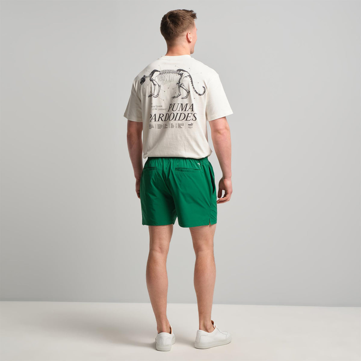 30904 Above the Knee Shorts Lusso Green