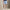 RLX Tailored Fit Featherweight Cypress Shorts Office Blue