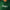 The Bogey Hoodie Pine Green