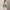 Polo Golf Johnny Collar Cotton Polo Celadon/White