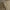 Tech Carpenter Trousers Khaki