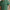 RLX Tailored Fit Golf Club Bags Polo Kelly Green