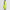 Daytona Plus Carry Golf Bag Electric
