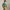 RLX Tailored Fit Airflow Jersey Polo Faded Mint