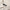 x TRENDYGOLF Lincoln II Polo Moonbeam