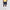 Lightweight Course Shorts Navy