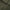 x TRENDYGOLF Lincoln II Polo Forest Green