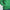 Wind Jacket Green