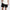 Stasher Shorts Black