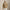 RLX Cotton Knit Cardigan Camel Melange