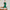 Jamie Pointelle Knit SS Button Down Polo Green