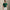 RLX Tailored Fit Stretch Cotton Polo Kelly Green/Ceramic White
