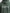 Tiger Buckets GD Hoodie Evergreen