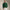 Polo Golf Standard Fit Double Knit Hoodie Vintage Pine
