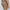 T_Commuter-Slim Light Green