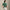 RLX Tailored Fit Golf Club Bags Polo Kelly Green