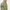 Heath Shell Wind Jacket Oil Green