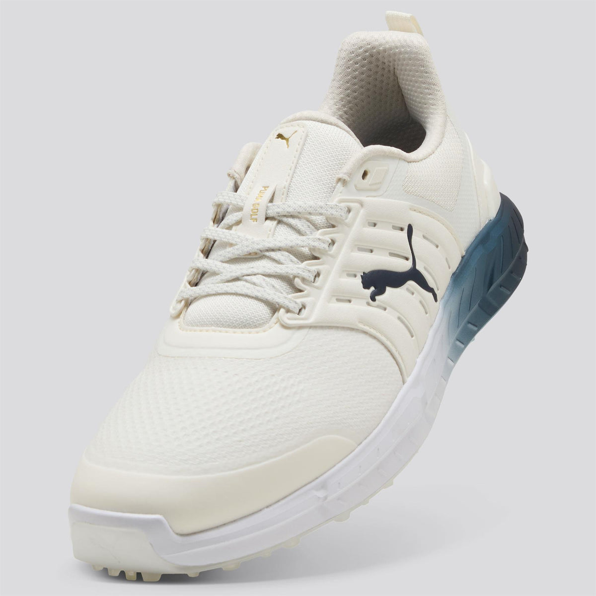 Ignite Elevate II Tour Coastal Claret Spiked Golf Shoes Warm White/Alpine Snow/Midnight Petrol