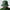 Dri-FIT Apex Golf Bucket Hat Forest Green/Sail