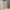 RLX Tailored Fit Featherweight Cypress Shorts Office Blue