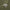 Evergreen Performance Quarter Zip Sage
