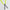 Daytona Plus Carry Golf Bag Electric